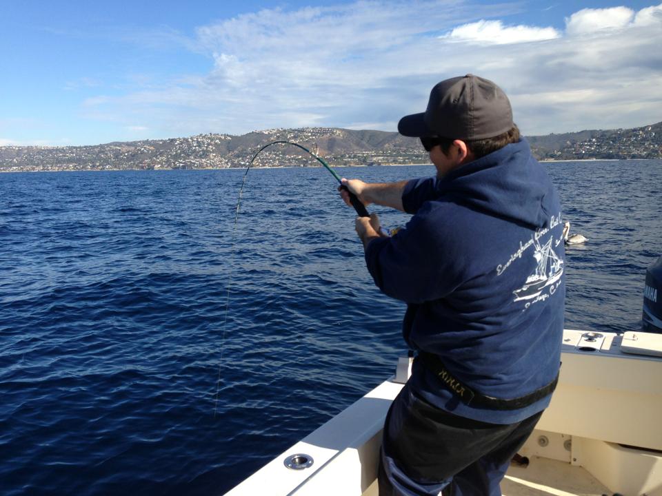 AllWater Fishing Charters, Catalina Island | 25051 Calle Playa c, Laguna Niguel, CA 90704 | Phone: (310) 955-4201