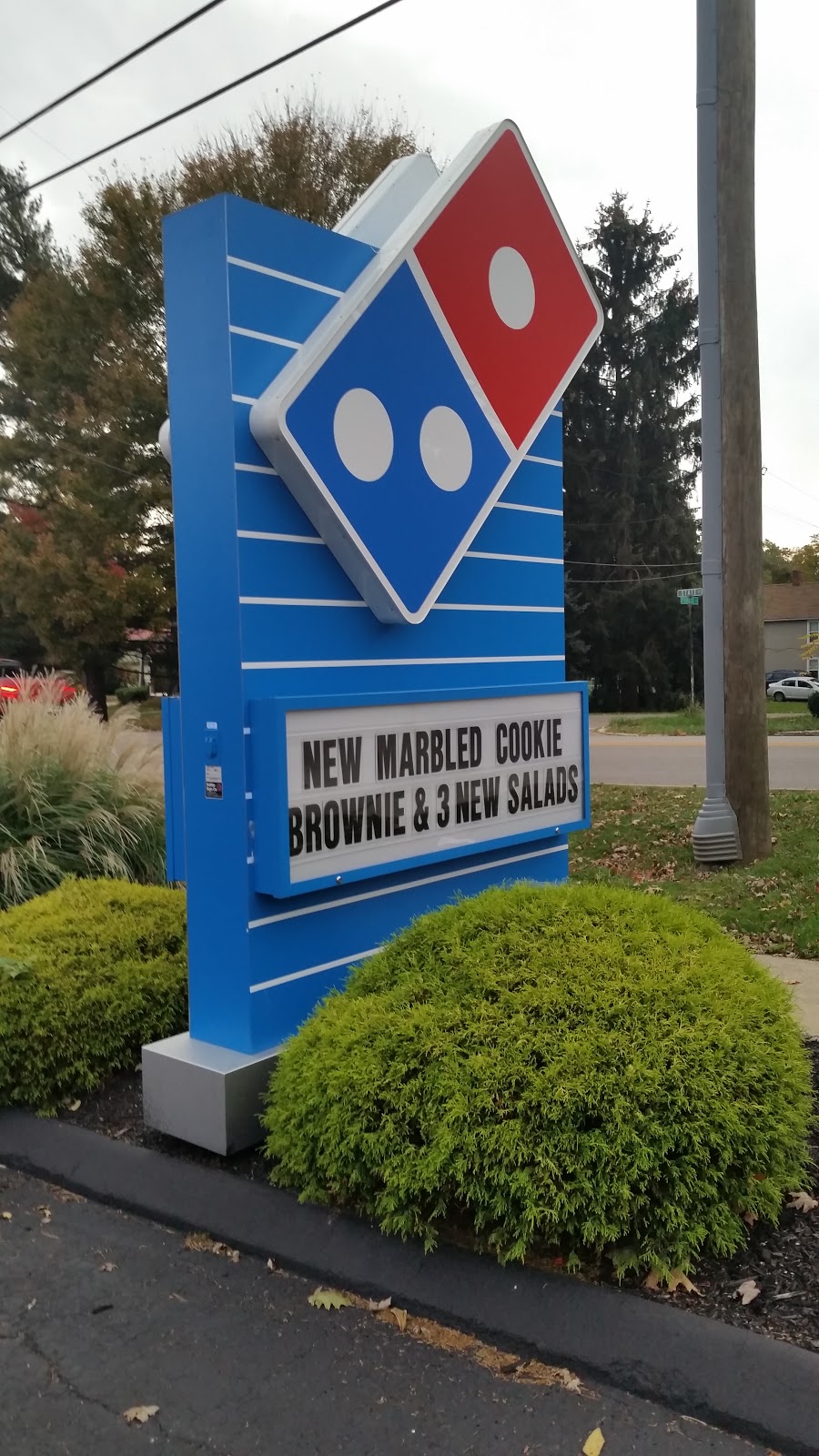 Dominos Pizza | 8007 State St, Garrettsville, OH 44231, USA | Phone: (330) 527-0505