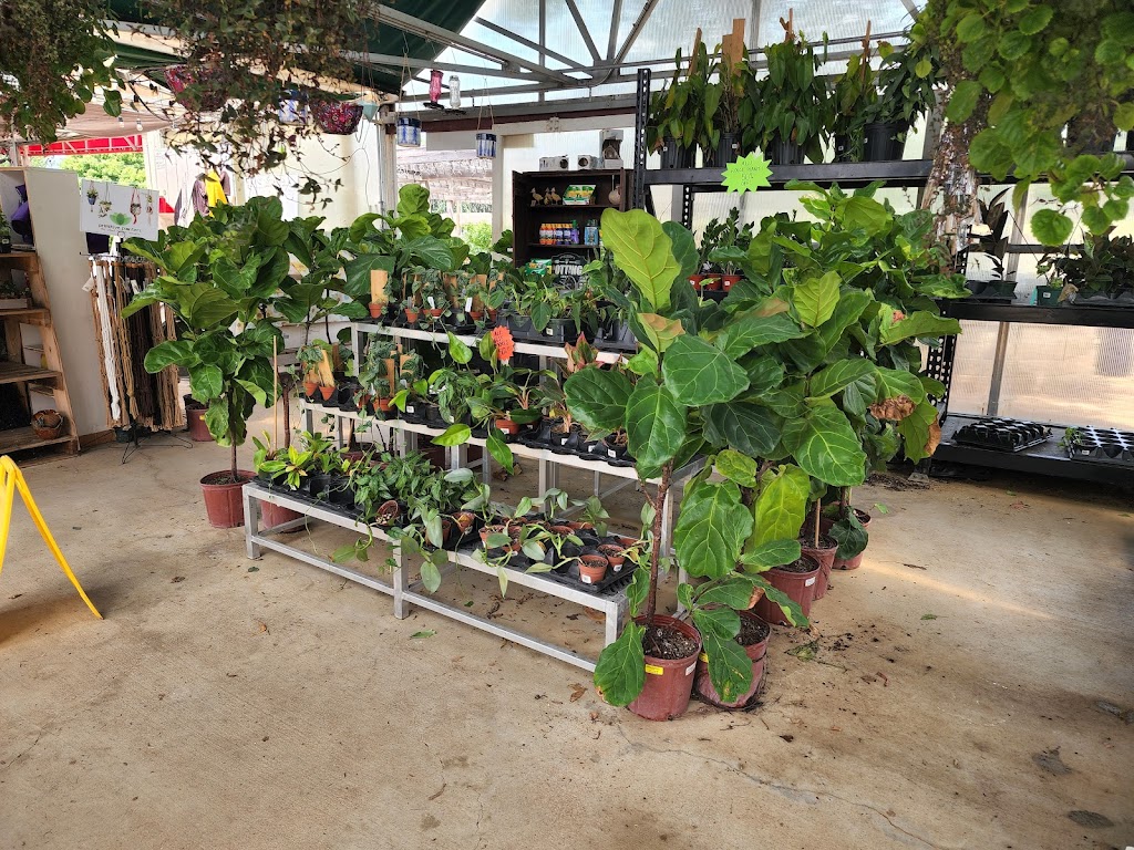 Riddle Plant Farm | 3510 Summit Blvd, Sand Springs, OK 74063 | Phone: (918) 245-3158