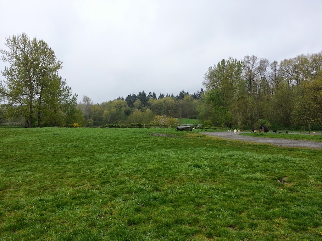 Grandview Off-Leash Dog Park | 3507 S 228th St, SeaTac, WA 98198, USA | Phone: (206) 973-4670