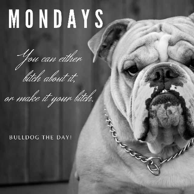Bulldog Strength and Conditioning | 3435 US-9, Freehold, NJ 07728, USA | Phone: (732) 523-1895