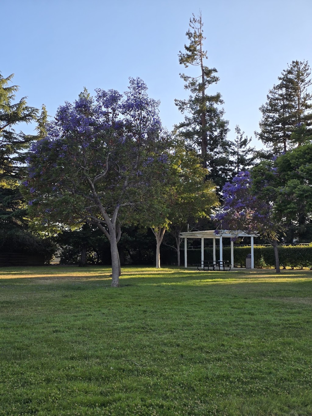 Meyer Park | 38225 Glenmoor Dr, Fremont, CA 94536, USA | Phone: (510) 797-7600