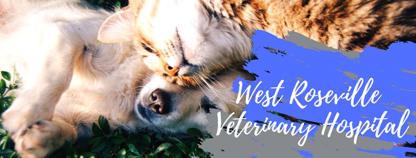 West Roseville Veterinary Hospital - veterinary care  | Photo 1 of 10 | Address: 7631 Galilee Rd #100, Roseville, CA 95678, USA | Phone: (916) 773-3451