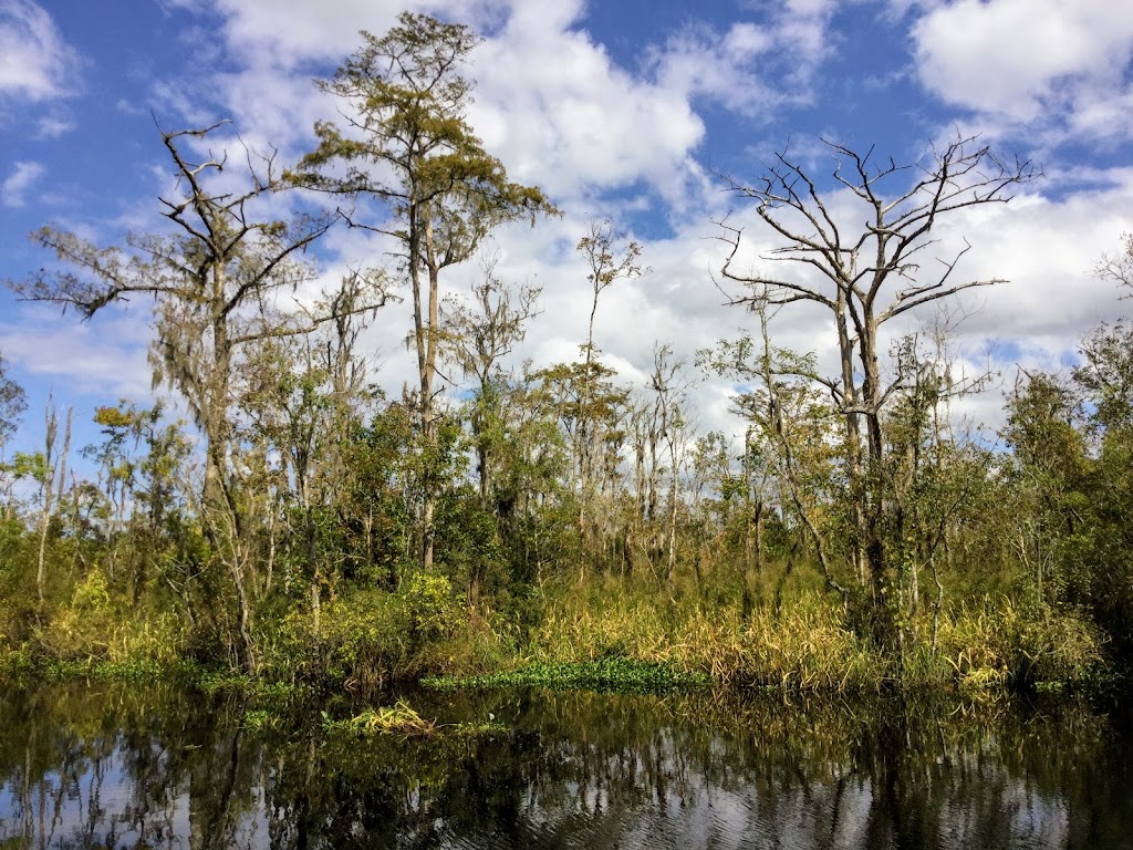 Four Creeks State Forest | 450946 FL-200, Callahan, FL 32011, USA | Phone: (904) 845-4933