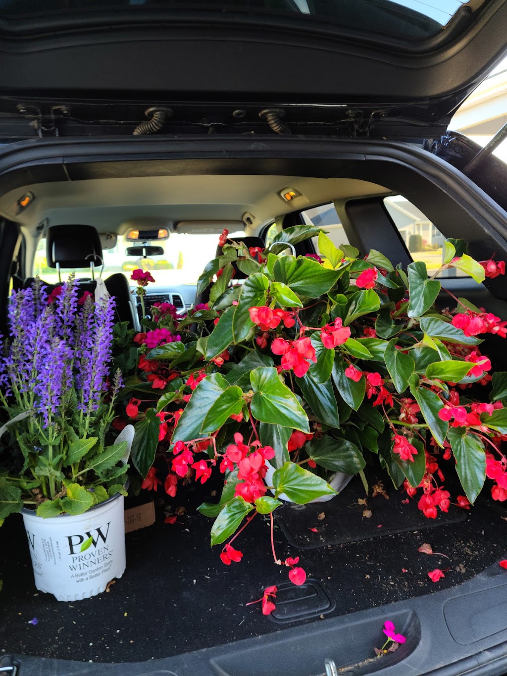 Wistinghausen Florist & Greenhouse | 114 Townline St, Oak Harbor, OH 43449, USA | Phone: (419) 898-4221