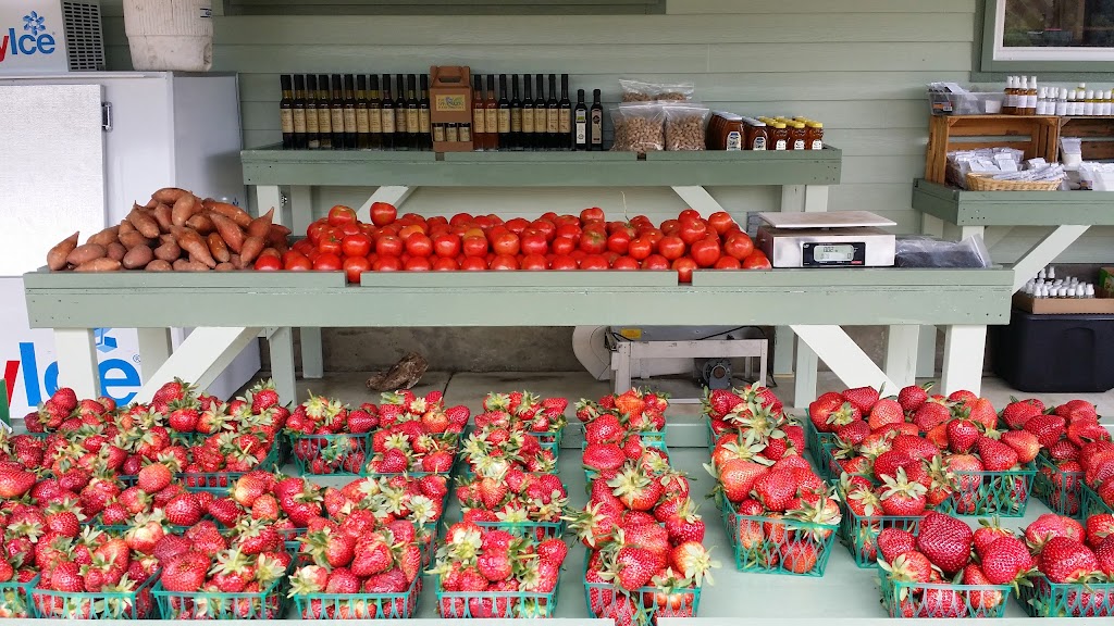 Stahlmans at Bear Creek-Grocery and Pecans | 5511 Farm To Market Rd 2722, New Braunfels, TX 78132, USA | Phone: (830) 515-3658