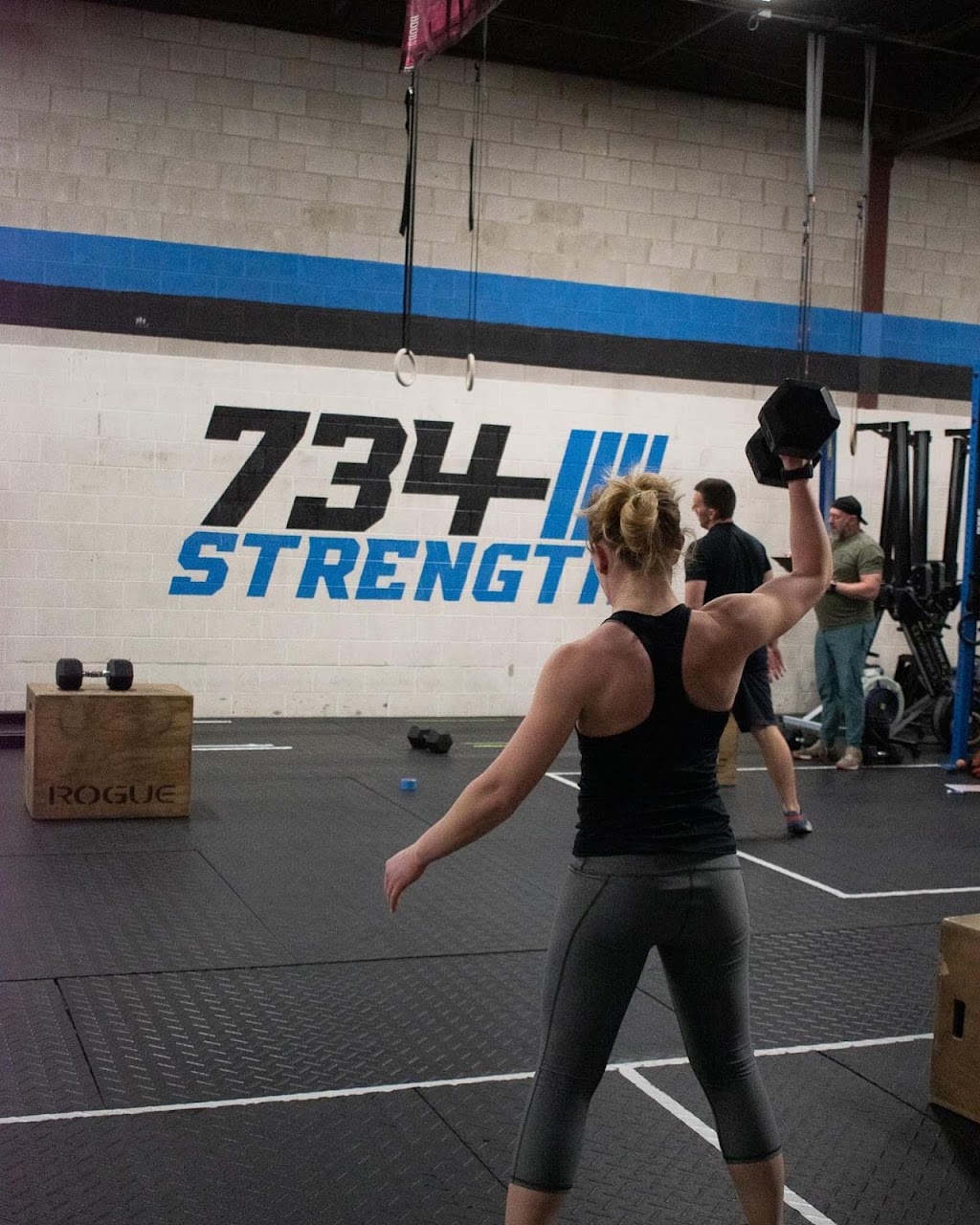 734 Strength and Performance | 258 Airport Industrial Dr, Ypsilanti, MI 48198, USA | Phone: (734) 336-2320