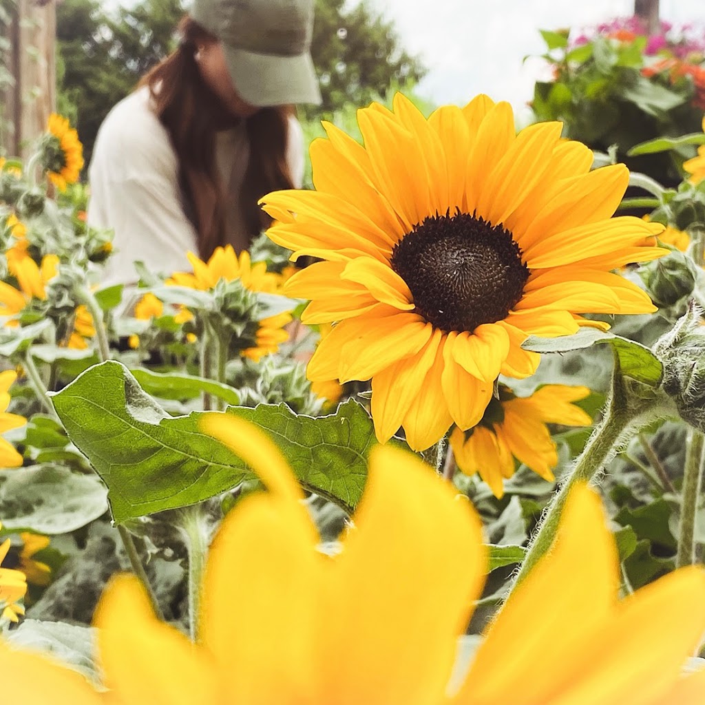 Berns Garden Center-Landscaping | 3776 Indian Ripple Rd, Beavercreek, OH 45440, USA | Phone: (937) 912-0422