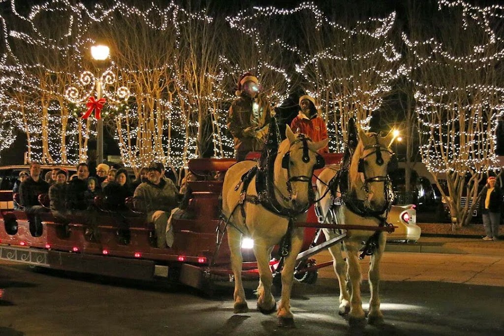 Gold Leaf Carriage | 1520 Weslyn Springs Way, Fuquay-Varina, NC 27526, USA | Phone: (919) 614-5306