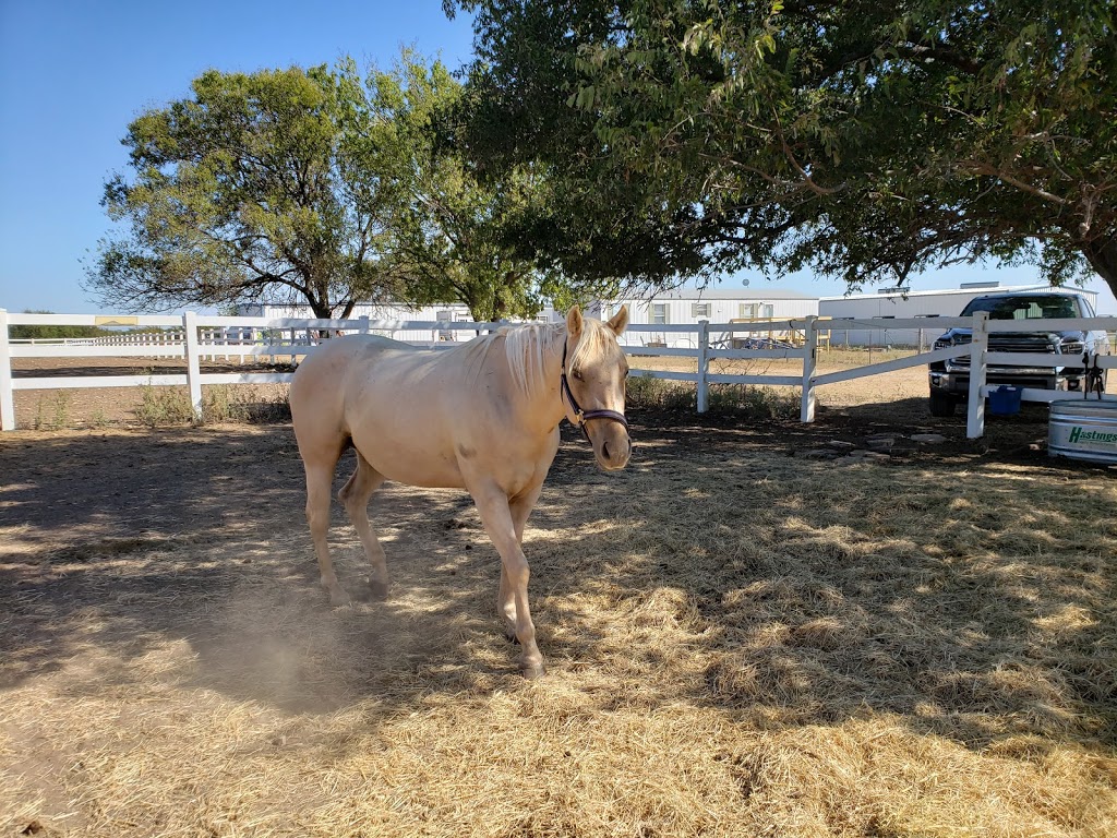 Lake Trail Stables | 5490 Rocky Creek Park Rd, Crowley, TX 76036, USA | Phone: (817) 291-8163