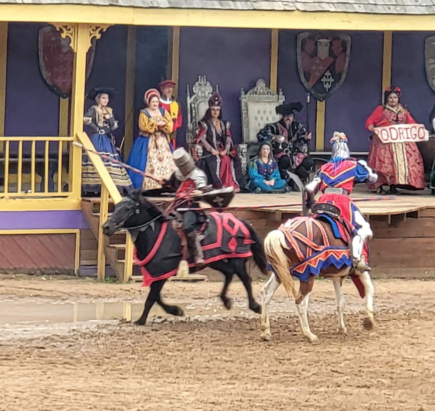 Texas Renaissance Festival Main Entrance | 21997 FM 1774, Todd Mission, TX 77363, USA | Phone: (800) 458-3435