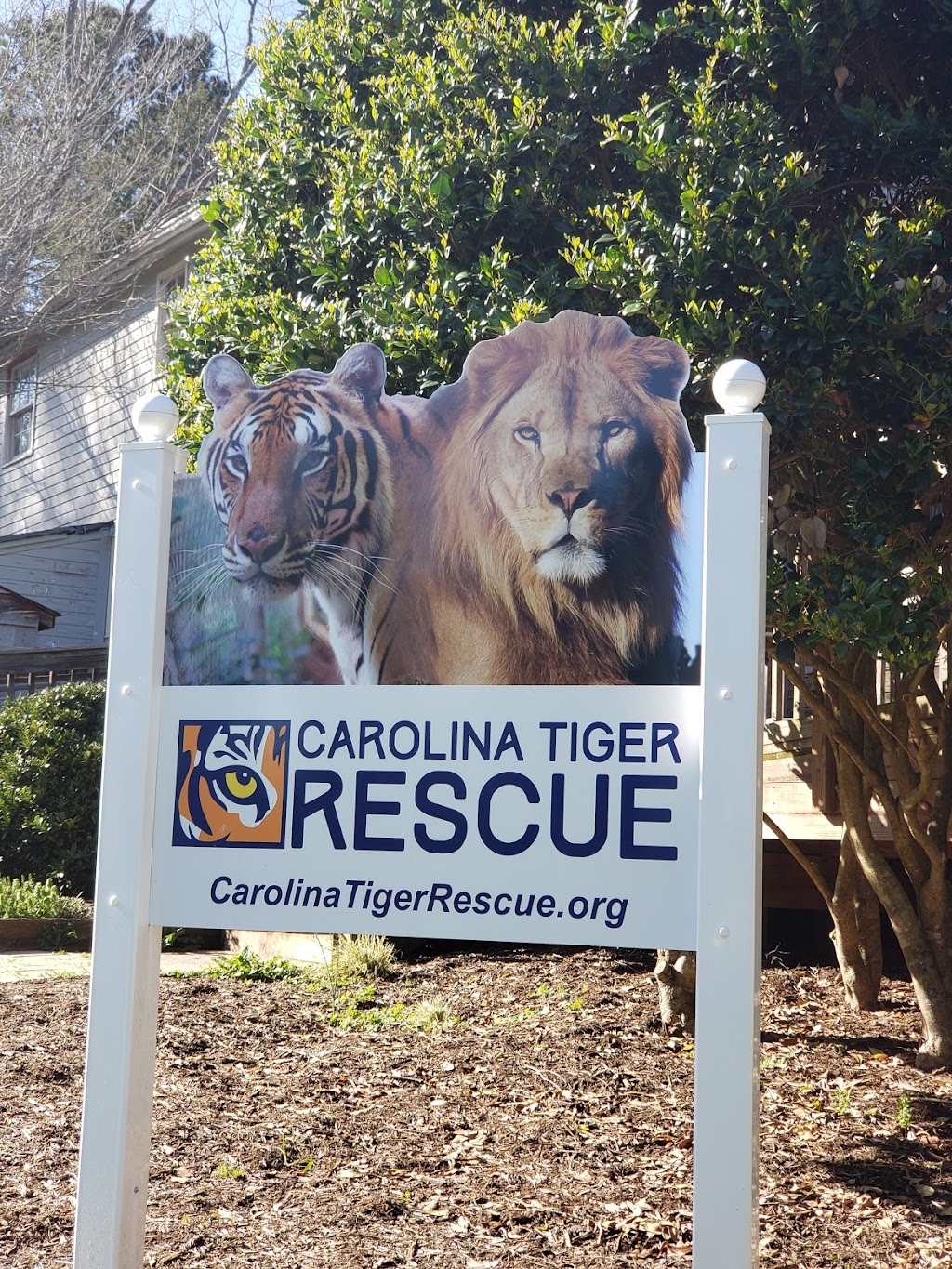 Carolina Tiger Rescue | 1940 Hanks Chapel Rd, Pittsboro, NC 27312, USA | Phone: (919) 542-4684