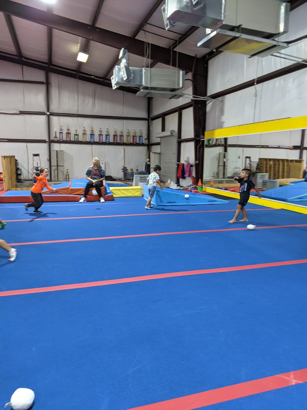 Flips For Fun | 11695 Alta Vista Rd, Keller, TX 76244, USA | Phone: (817) 741-3867