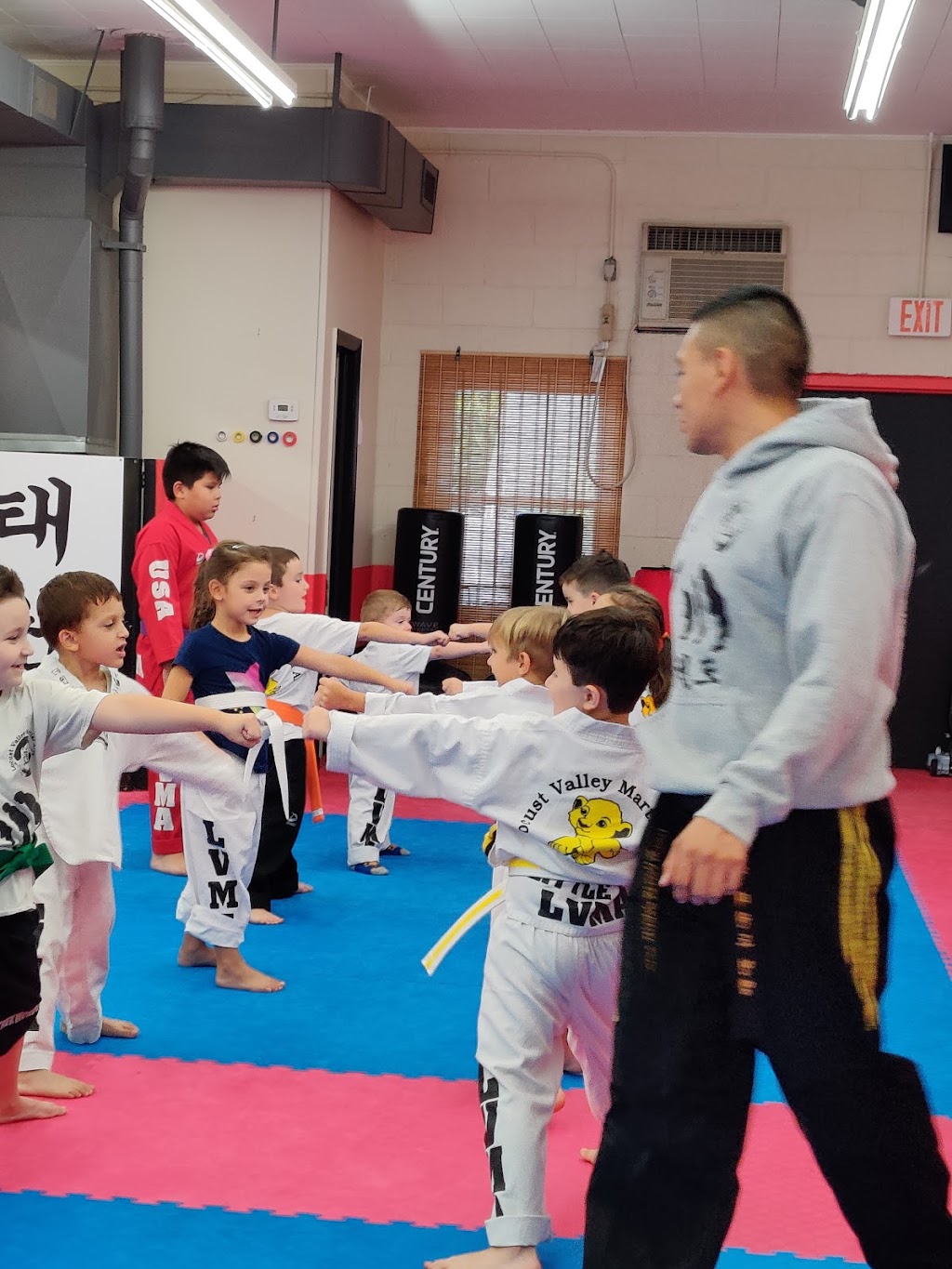 Locust Valley Martial Arts Long Island | 196 Forest Ave, Locust Valley, NY 11560, USA | Phone: (516) 671-1715