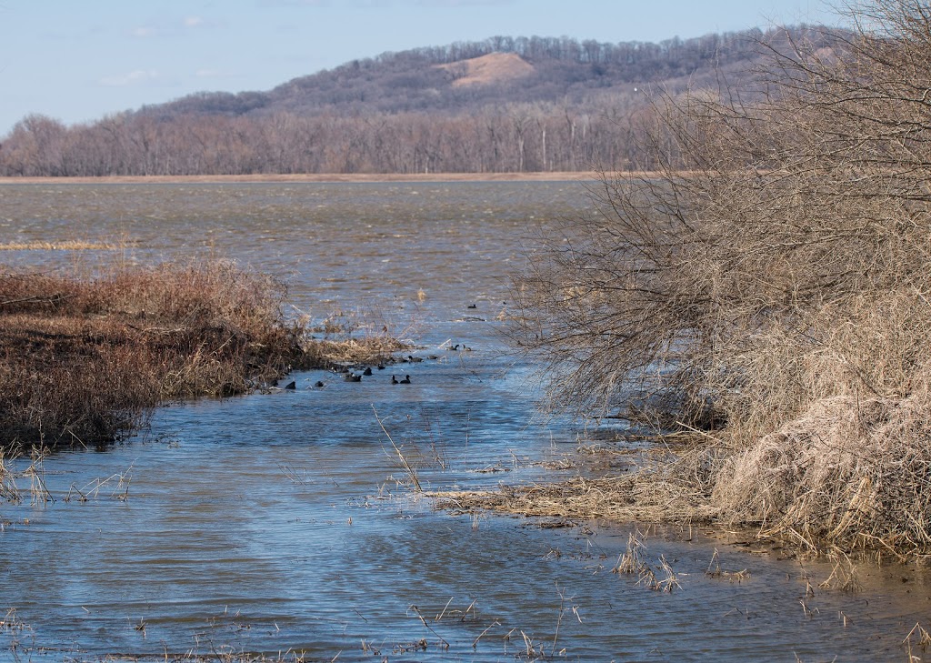 Two Rivers National Wildlife Refuge | 121 Main St, Brussels, IL 62013, USA | Phone: (618) 883-2524