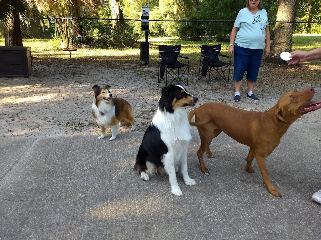 Thatcher Dog Park | 44862 NW David Hill Rd, Forest Grove, OR 97116, USA | Phone: (503) 992-3204