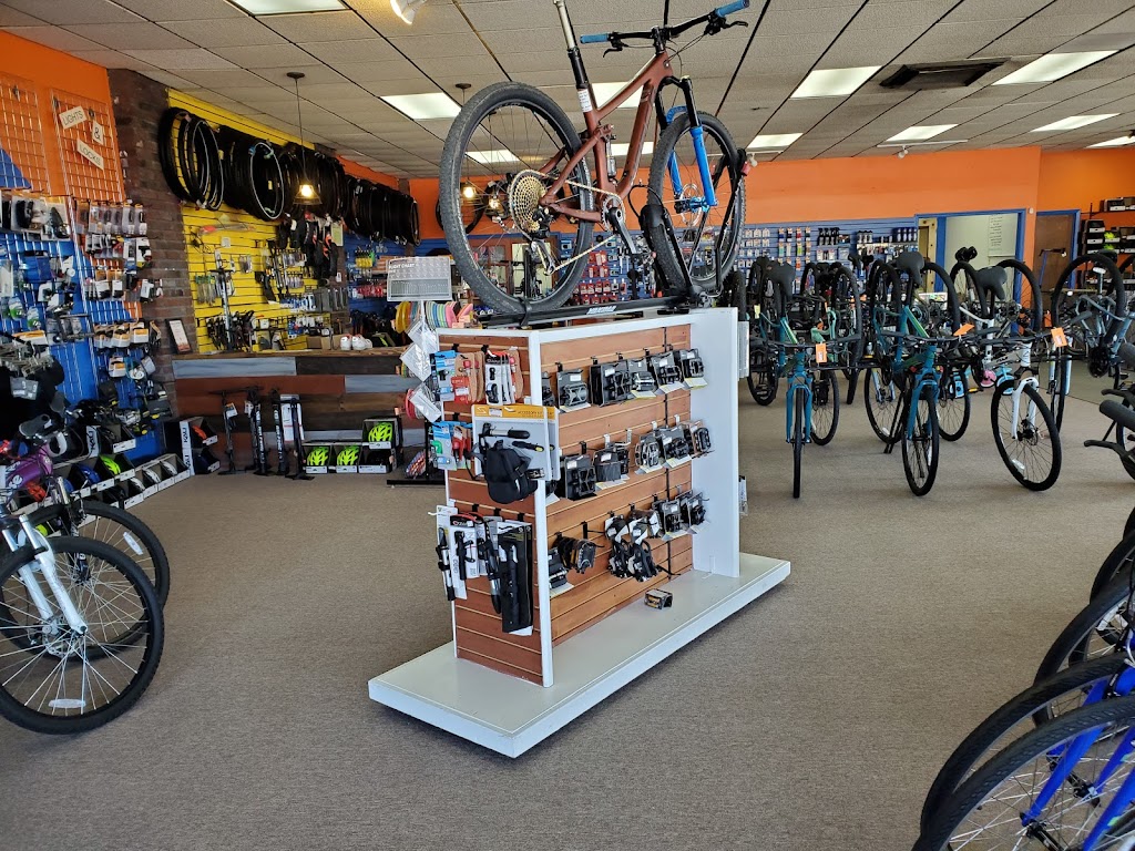 The Touring Cyclist | 11816 St Charles Rock Rd, Bridgeton, MO 63044, USA | Phone: (314) 739-5183