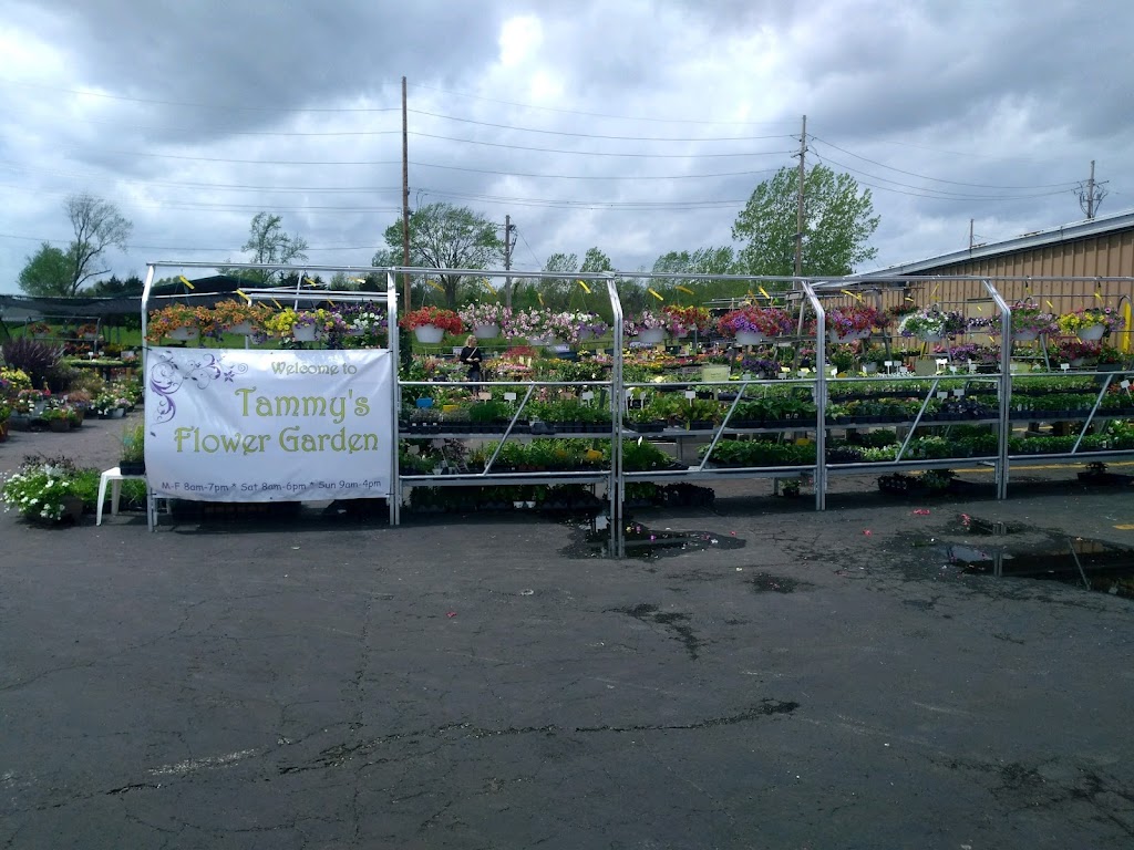 Tammys Flower Garden | 1583 W Pearce Blvd, Wentzville, MO 63385, USA | Phone: (636) 639-6004