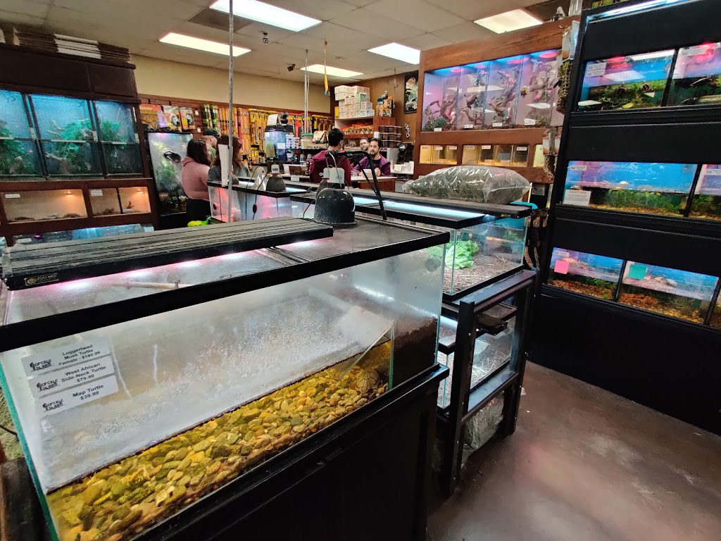 Reptile Island 3 | 7157 Katella Ave, Stanton, CA 90680, USA | Phone: (714) 761-1230