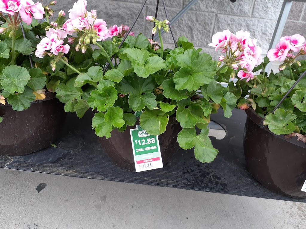 Walmart Garden Center | 29574 W Seven Mile Rd, Livonia, MI 48152, USA | Phone: (248) 957-0106