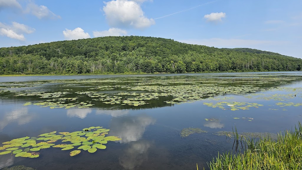 Franklinton Vlaie Wildlife Management Area | Middleburgh, NY 12122, USA | Phone: (607) 652-2302
