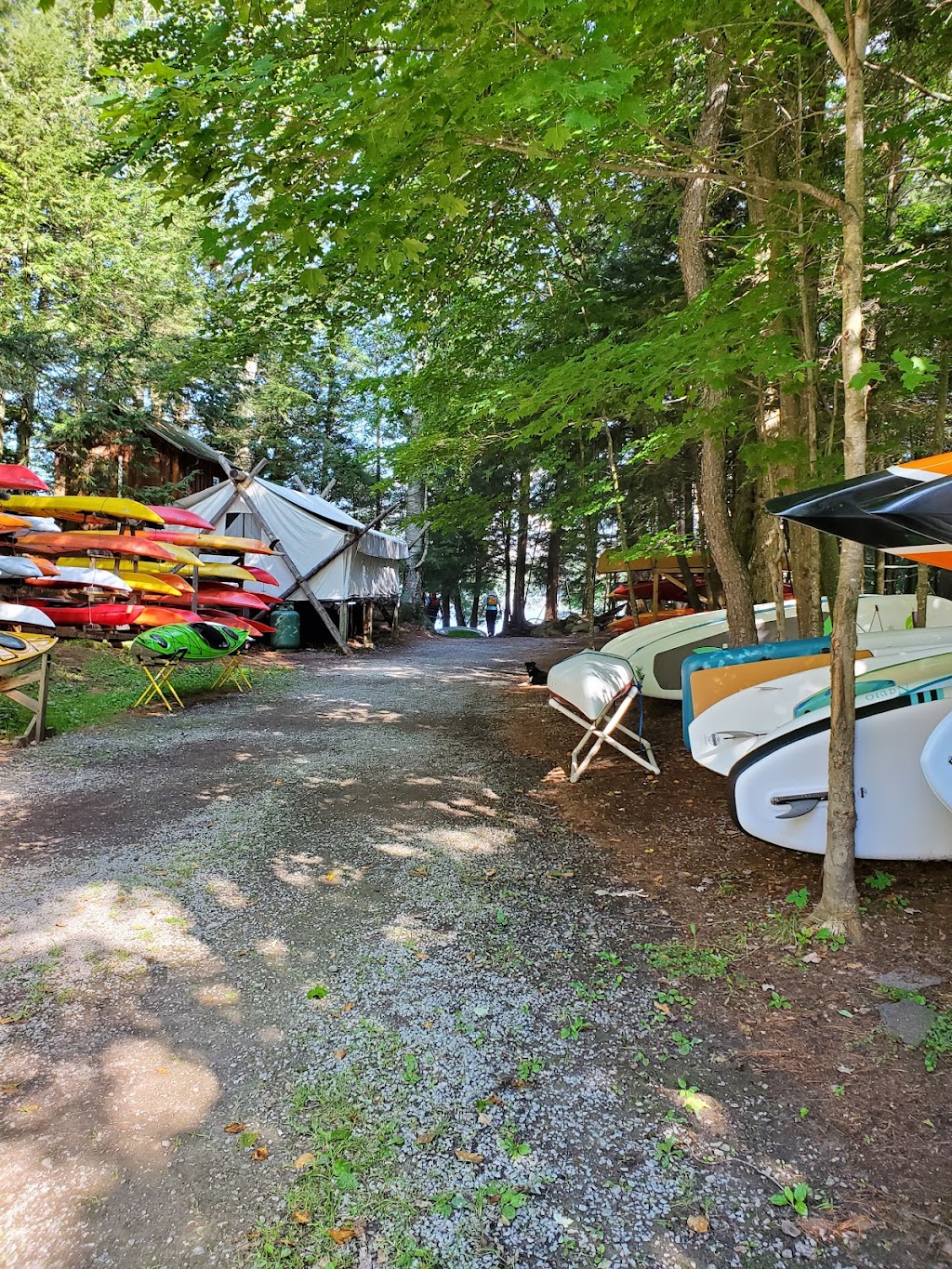 Frisky Otter Tours | 148 NY-28, Inlet, NY 13360, USA | Phone: (315) 357-3444