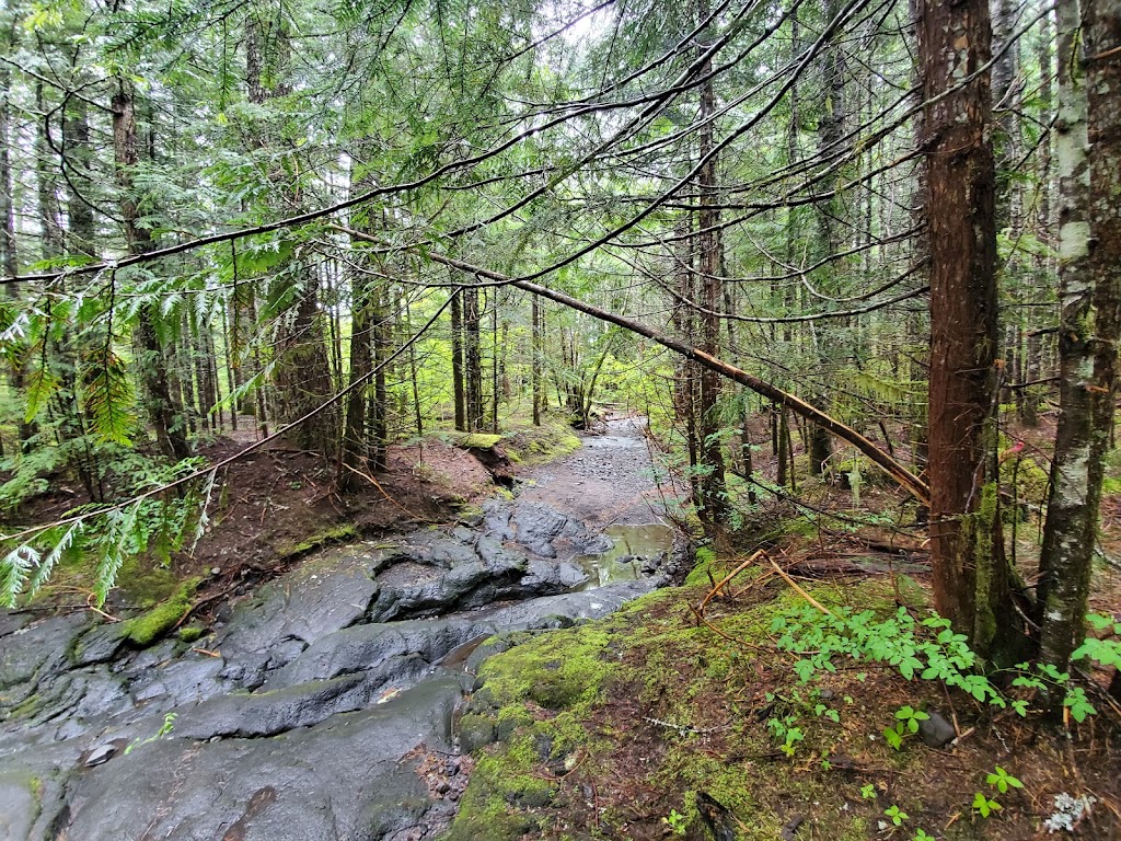 Ape Cave Interpretive Site | Cougar, WA 98616, USA | Phone: (360) 891-5000