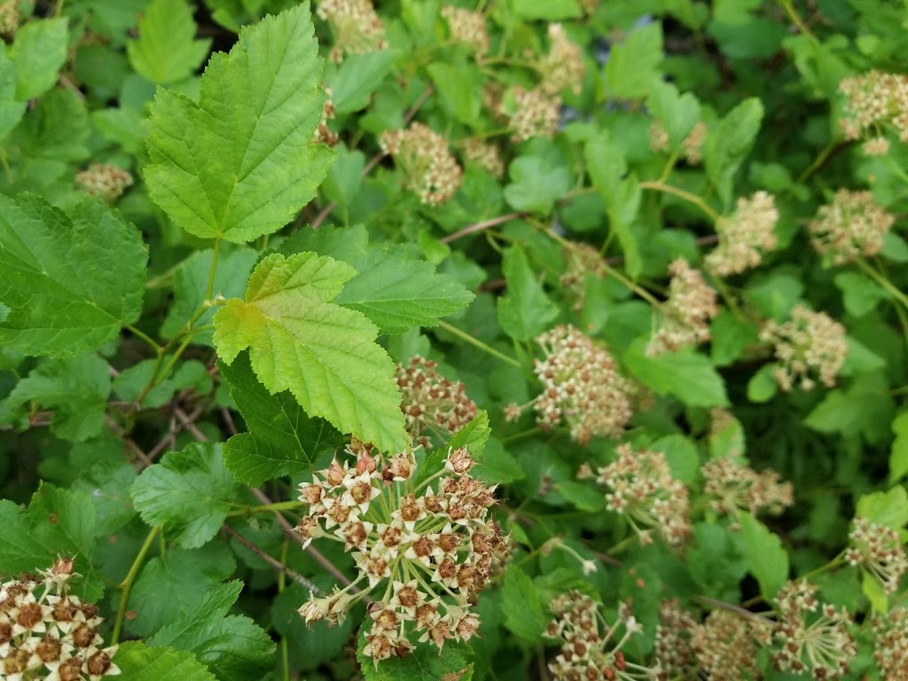 Riveredge Creek & Ephemeral Pond State Natural Area | 4410 County Rd Y, Saukville, WI 53080 | Phone: (608) 266-0394