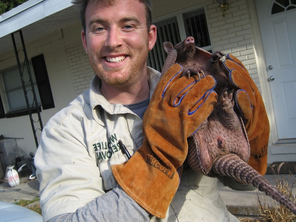 Wildlife Trapping Professionals of Bowling Green | 1405 Conneaut Ave, Bowling Green, OH 43402, USA | Phone: (419) 956-0600