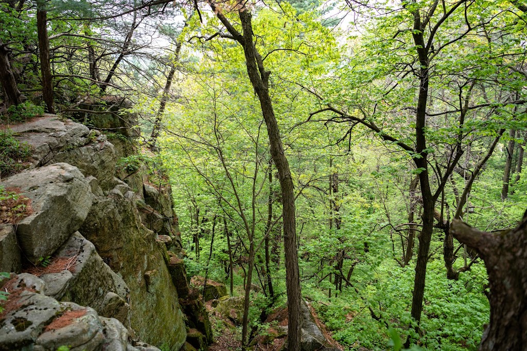 Gibraltar Rock State Natural Area | Gibraltar Rock Rd, Lodi, WI 53555, USA | Phone: (608) 266-0394