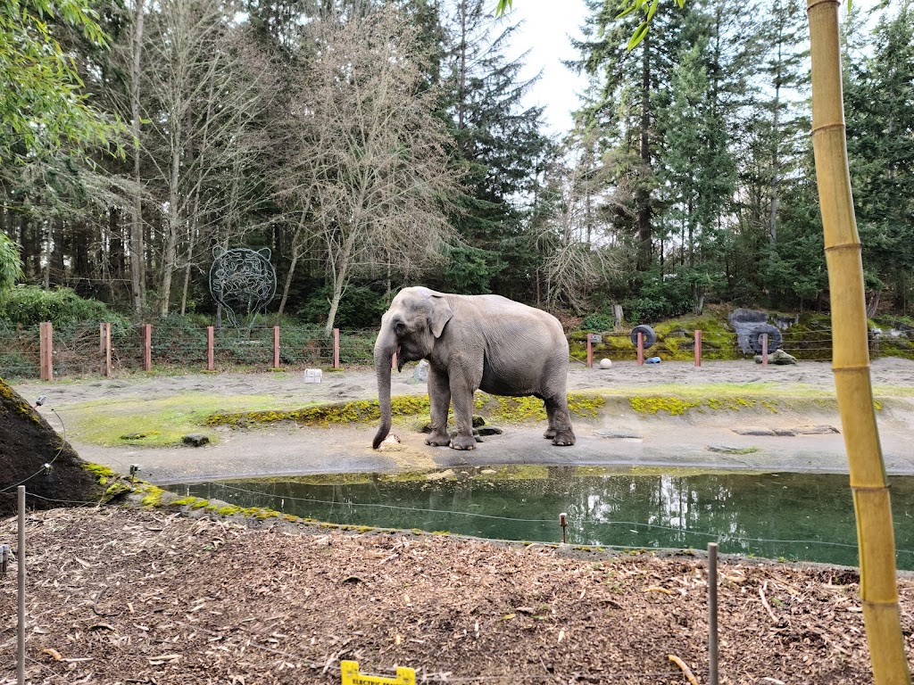 Point Defiance Zoo & Aquarium | 5400 N Pearl St, Tacoma, WA 98407 | Phone: (253) 404-3800