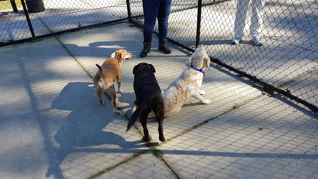 Lake Meade Dog Park | Suffolk, VA 23434 | Phone: (757) 514-7250