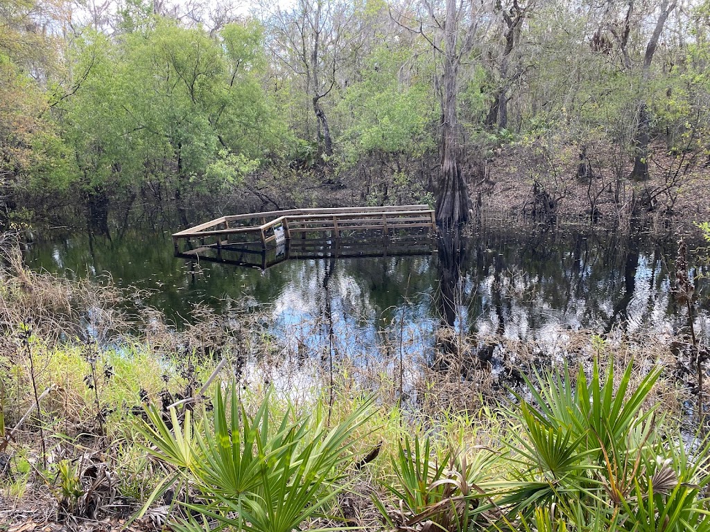 Paynes Creek Historic State Park | 888 Lake Branch Rd, Bowling Green, FL 33834, USA | Phone: (863) 375-4717