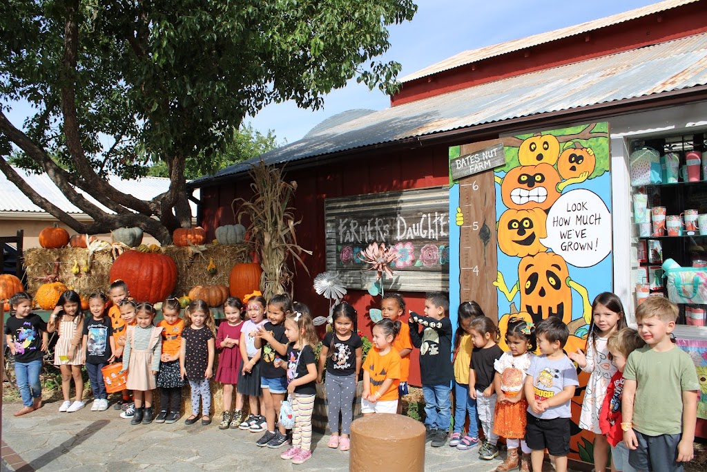 Little Feathers Preschool | 11790 B Pala Mission Cir, Pala, CA 92059, USA | Phone: (760) 742-1997