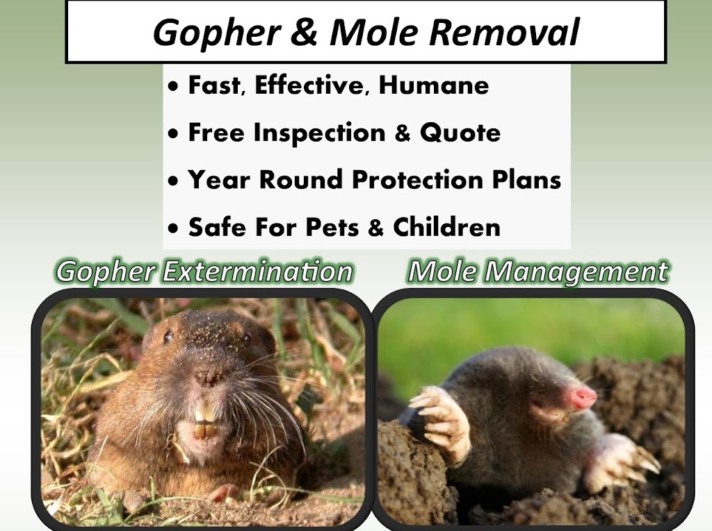 EcoFloridian Lawn & Pest Control | 5085 Pacific Ave, Spring Hill, FL 34607, USA | Phone: (352) 346-2546