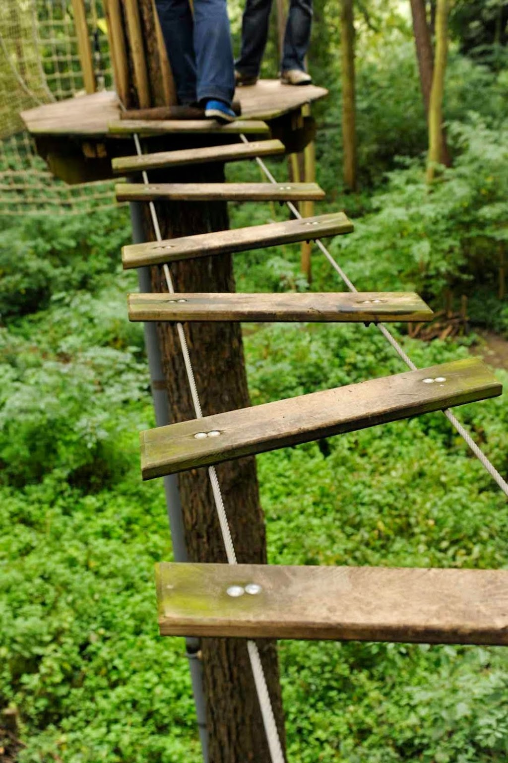 Go Ape Zipline and Adventure Park | 16200 Valley Pkwy, Strongsville, OH 44136, USA | Phone: (800) 971-8271