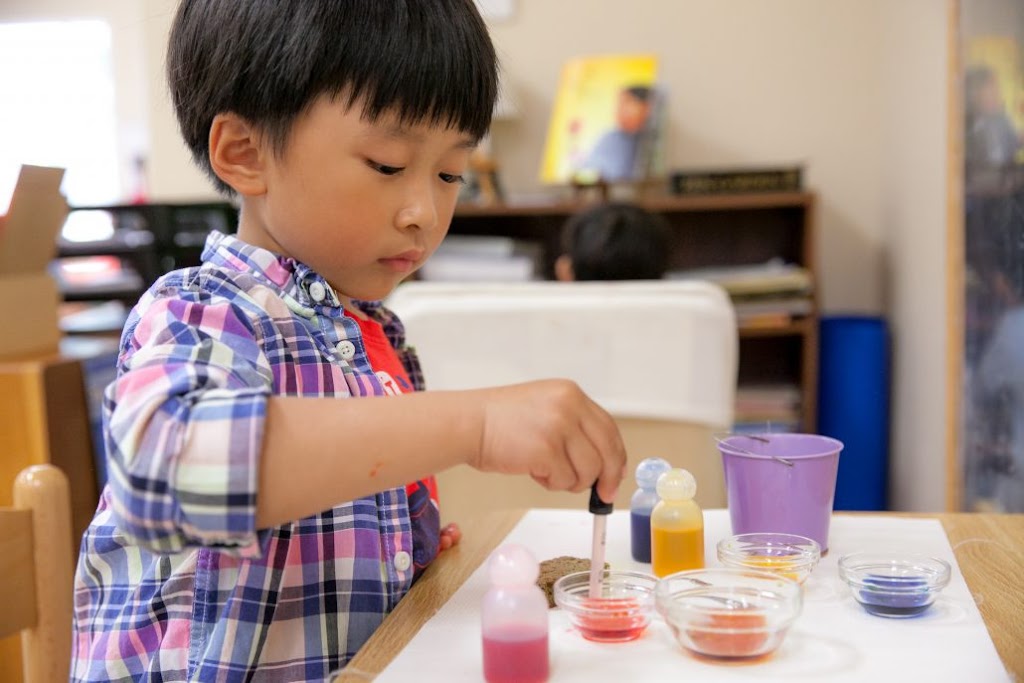 LePort Montessori Irvine Westpark | 1055 San Marino, Irvine, CA 92614 | Phone: (949) 763-3268