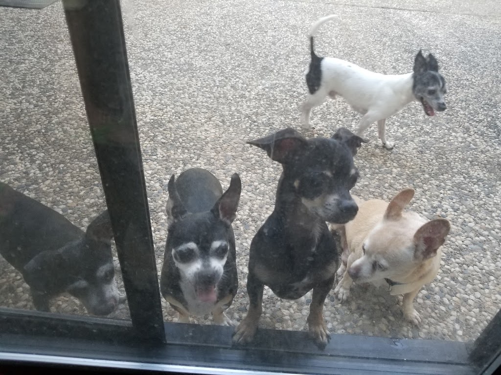 Sunset345sohui | 6349 Edgewood Way, Rocklin, CA 95677, USA | Phone: (916) 300-1512