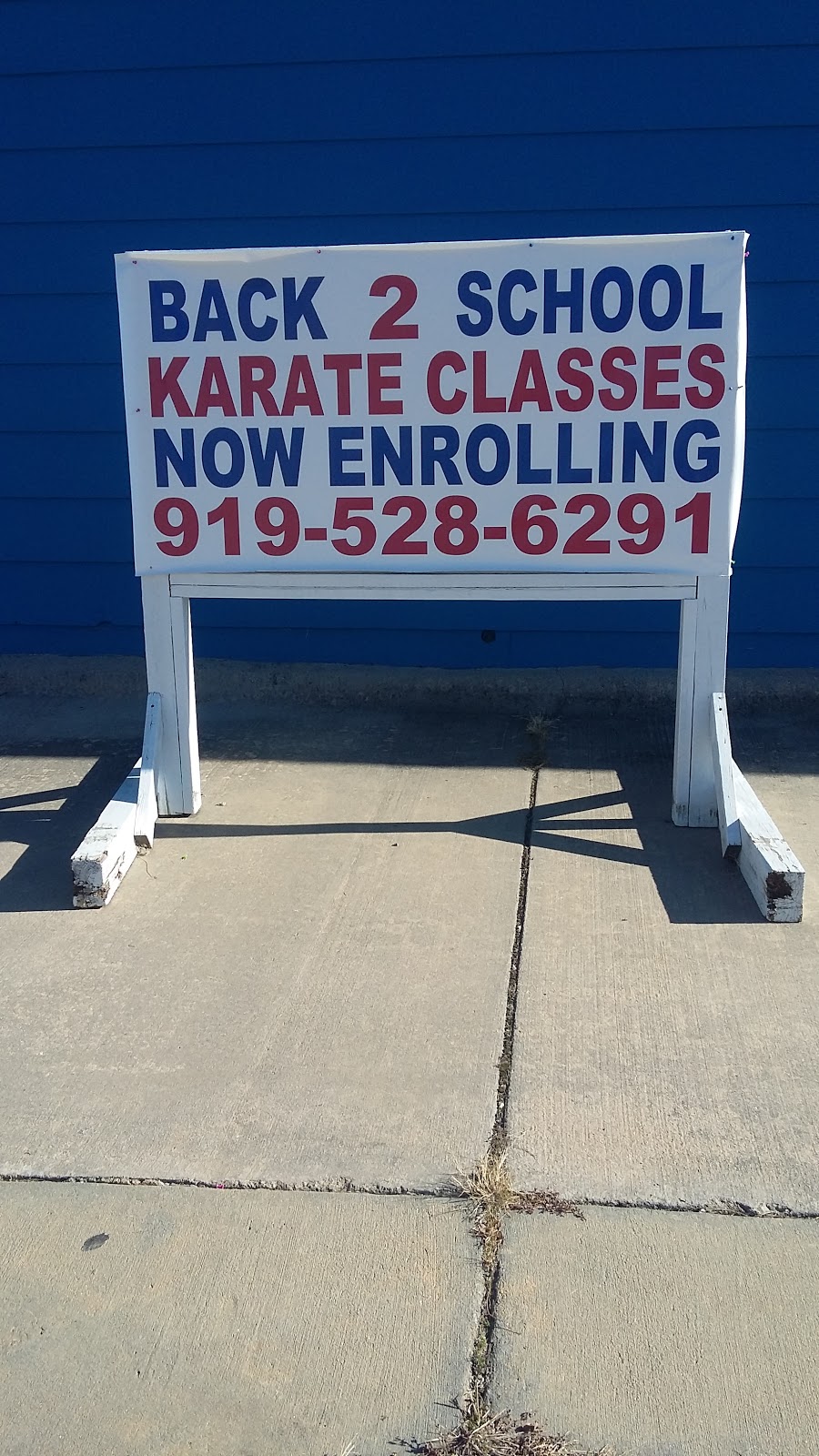 Lions Den Martial Arts | 122 Roxboro Rd, Oxford, NC 27565, USA | Phone: (919) 528-6291