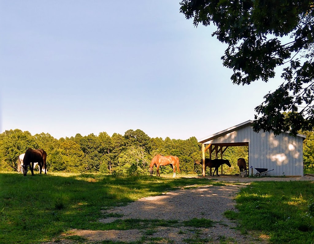 Durham Equestrian Club | 3611 W Cornwallis Rd, Durham, NC 27705, USA | Phone: (919) 636-9227