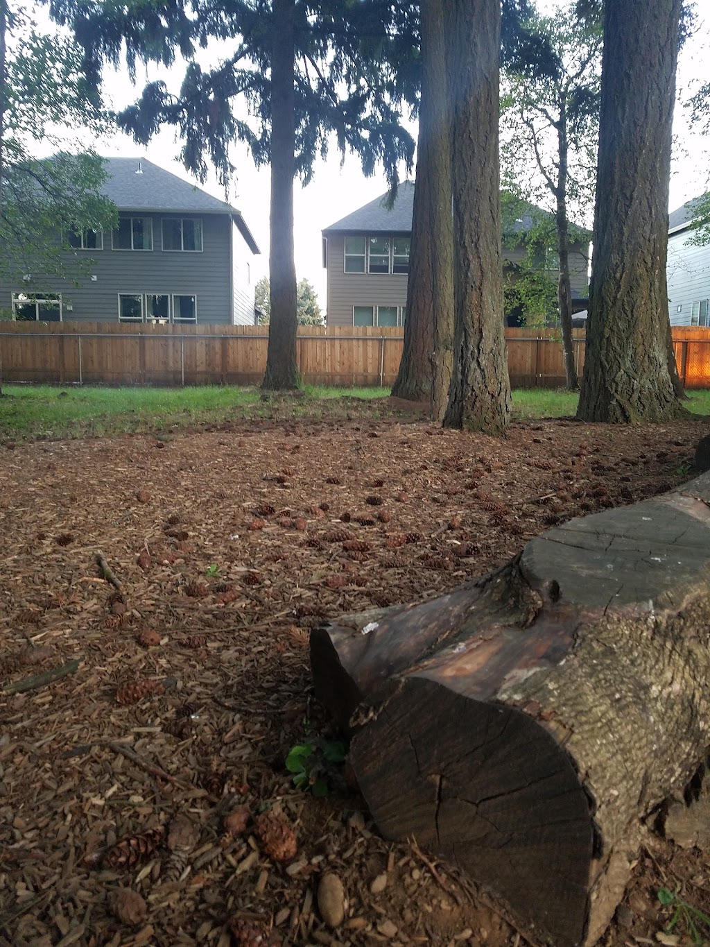 Dogwood Neighborhood Park | 10310 NE 124th Ave, Vancouver, WA 98682, USA | Phone: (360) 397-2285