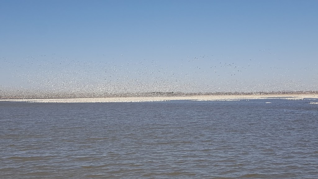 Columbus Bark Park | 5692-5794 Monastery Rd, Columbus, NE 68601, USA | Phone: (402) 562-4234