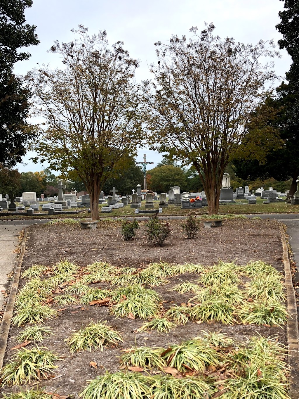 Saint Marys Cemetery | 3000 Church St, Norfolk, VA 23504, USA | Phone: (757) 627-2874