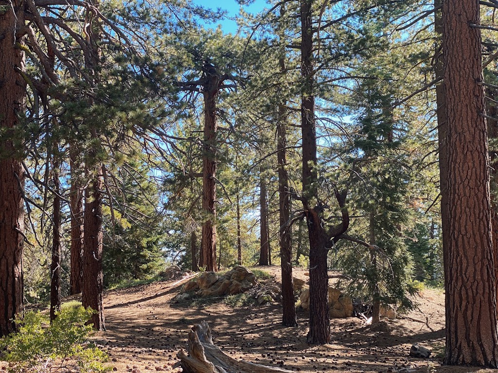 East Tumamait Trailhead - 21W03 | Mt Pinos Rd, Frazier Park, CA 93225, USA | Phone: (661) 245-3731 ext. 0