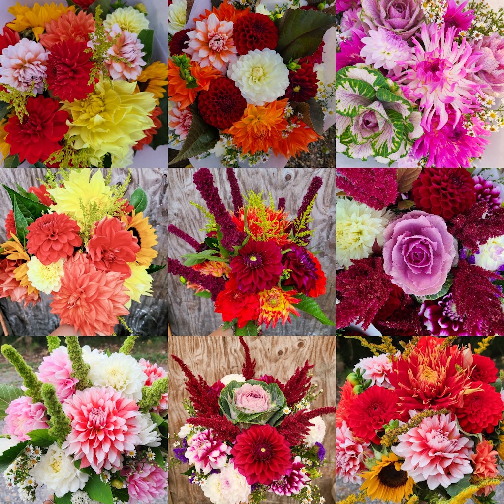 Flower Day Farm | 17614 WA-203, Monroe, WA 98272, USA | Phone: (206) 484-4470