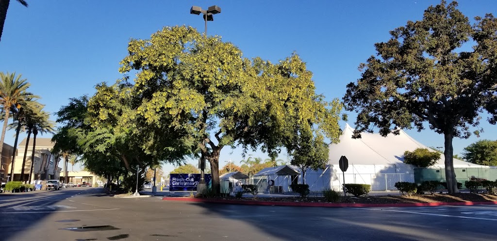 Lowes Garden Center | 8600 Washington Blvd, Pico Rivera, CA 90660, USA | Phone: (562) 942-9909