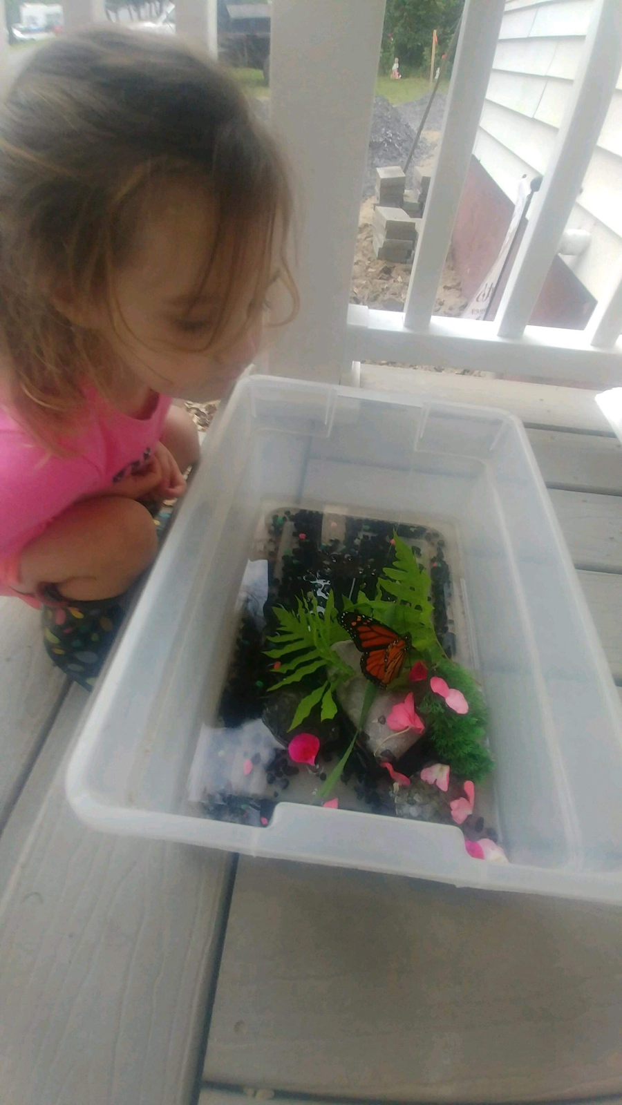 Country Kids Daycare | 20 Bloomingdale Ave, Johnstown, NY 12095, USA | Phone: (518) 705-4432