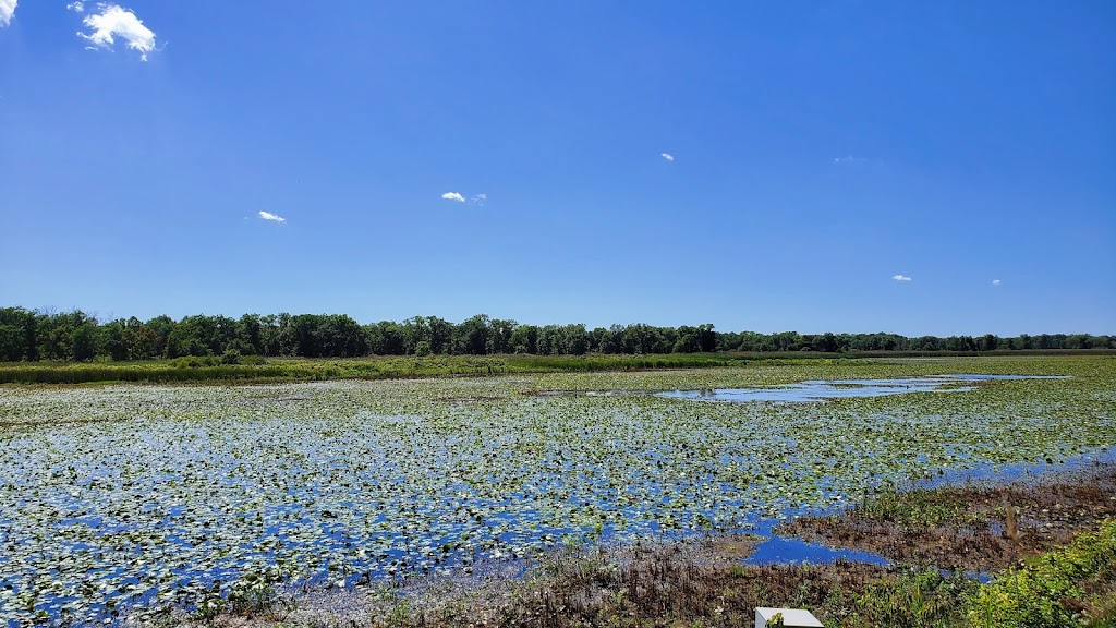 Indiana Dunes National Park West Beach Trail | W Beach Rd, Gary, IN 46403, USA | Phone: (219) 926-2255