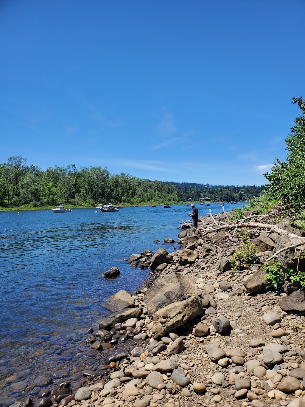 Clackamette RV Park | 1955 Clackamette Dr, Oregon City, OR 97045 | Phone: (503) 496-1201