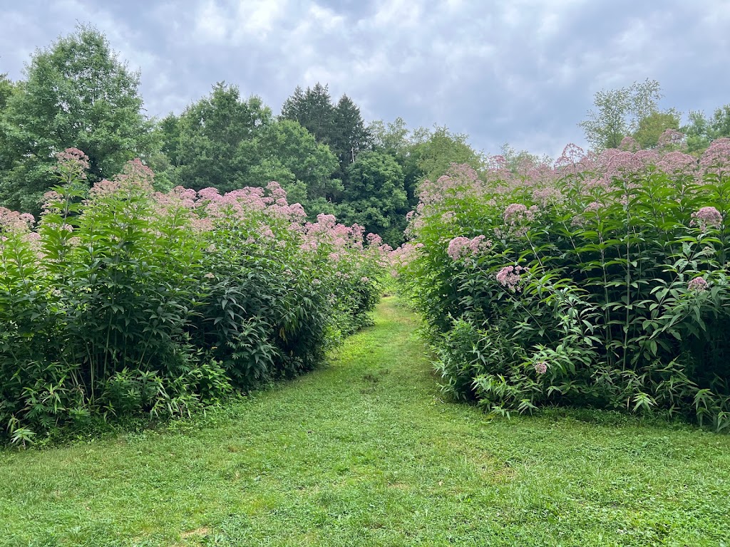 Wildflower Reserve Interpretive Center | 525 Lincoln Hwy, Raccoon Creek State Park Wildflower Center, 482 US-30, Clinton, PA 15026, USA | Phone: (724) 899-3611